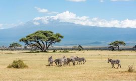 Top 10 Reasons You Should Visit Kenya At Least Once