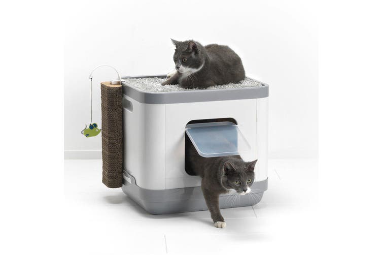 cat litter boxes