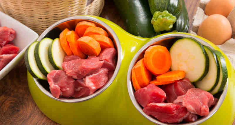 natural food for dogs