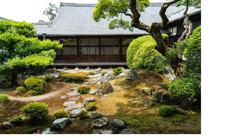 You are currently viewing Japanese Gardening Tips- How To Set Up A Japanese Garden
