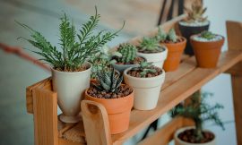 Build Your Dream Garden With These Latest Potting Benches