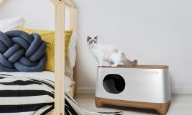 Choosing A Cat Litter Box- Why Your Cat Needs a Litter Box?