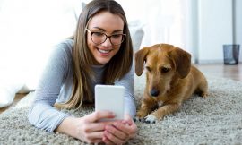 The Best Free Dogs Apps For Every Dog Owner