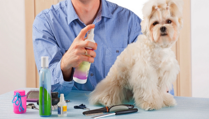 Read more about the article What Are The Benefits Of A Dog Spray?