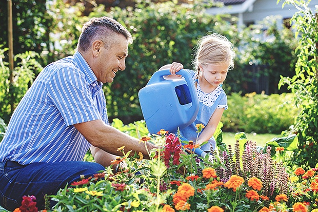 Gardening Tips For Beginners