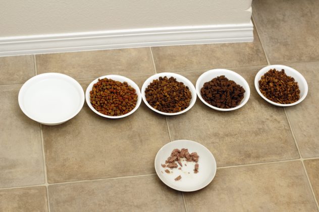 choosing cat food