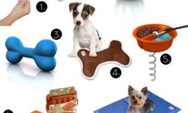 Interesting Dog Products That an Owner Can’t Stay With out